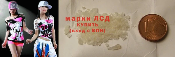 шишки Белокуриха